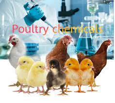 lighting-store-product-4