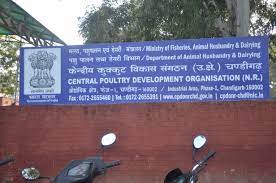 lighting-store-product-4