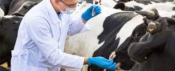 lighting-store-product-4